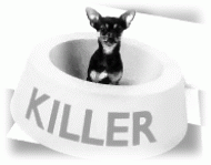   KILLER  
